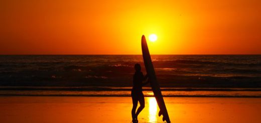 surfboard sunset