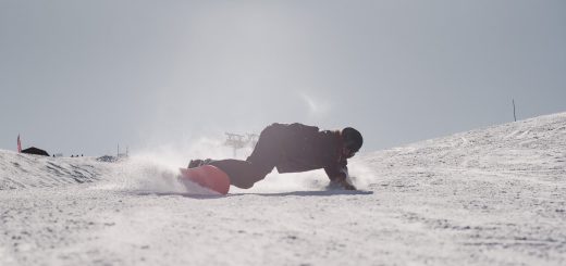 eurocarving alps