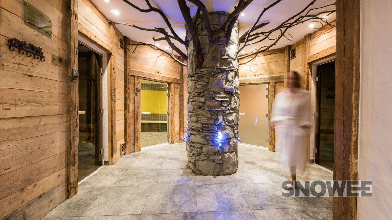 jacuzzi basen spa wellness snowee